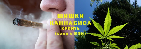 крисы Абдулино